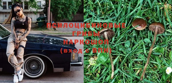экстази Богородицк