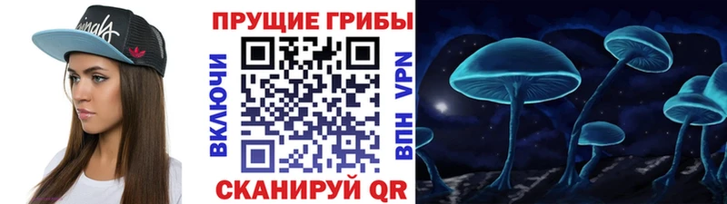 Галлюциногенные грибы мицелий  Гай 